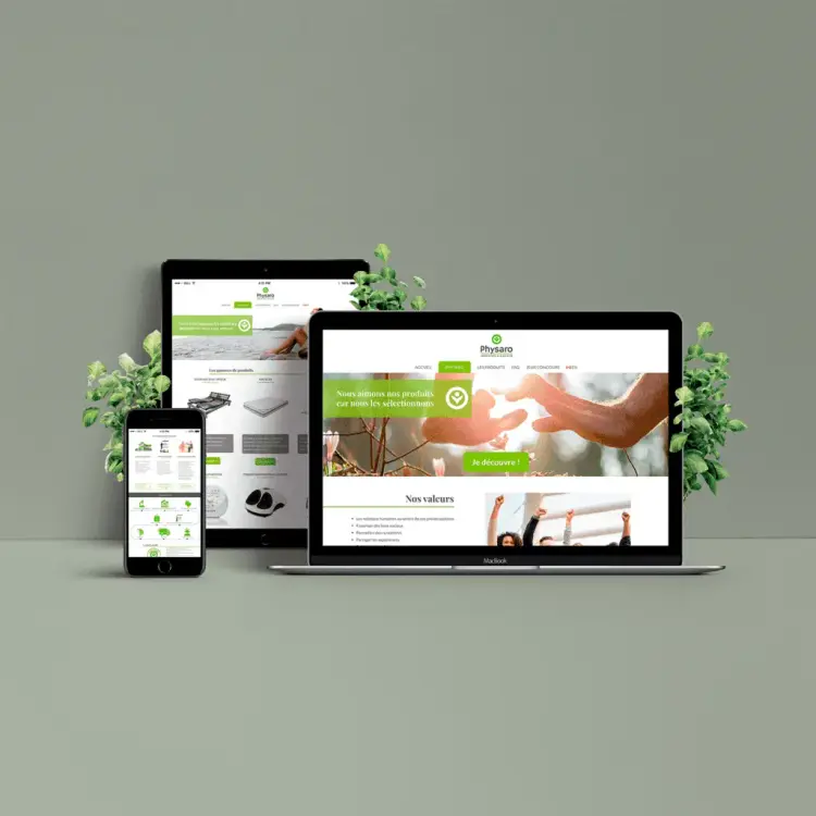 Déclinaison print et web pour Physaro